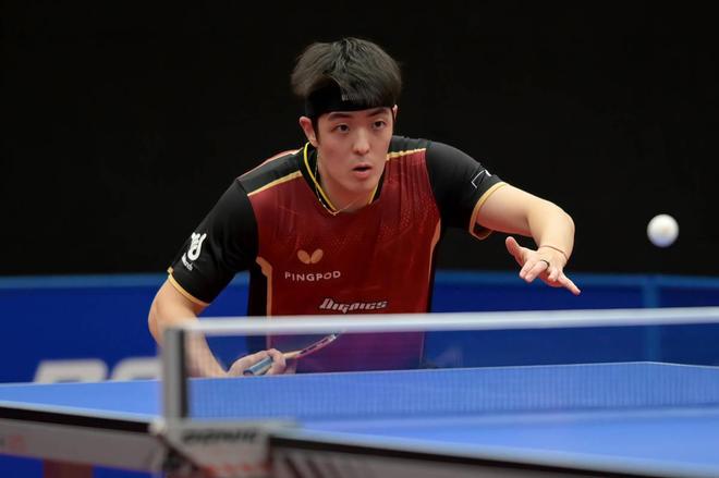 打下了坚实 打下了坚实